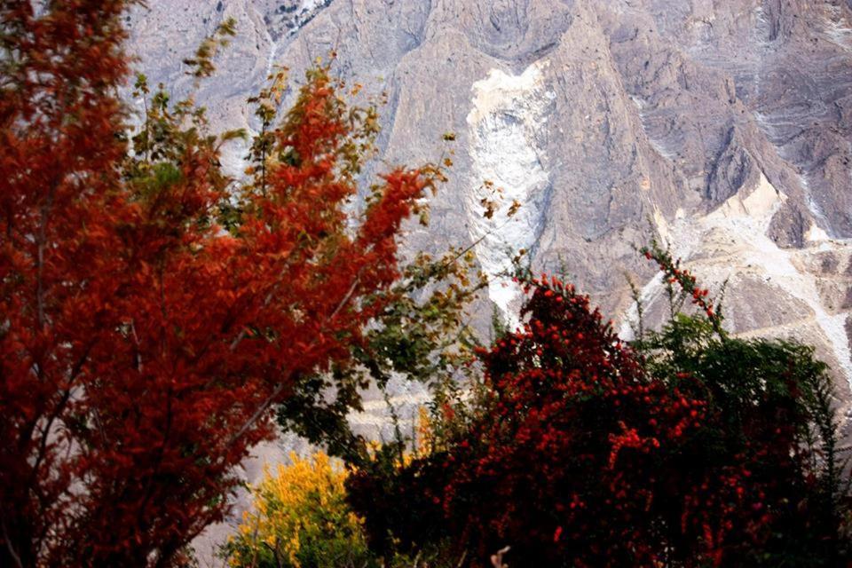 Ayun Fort Inn Chitral Exterior foto